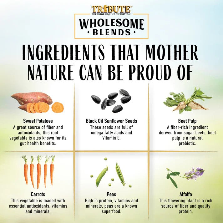 Tribute Wholesome Blends® Horse Treats ingredient details with images.