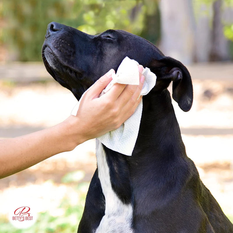 Betty's Best Skin & Coat Cloth Wipes XL - Wipes Pack