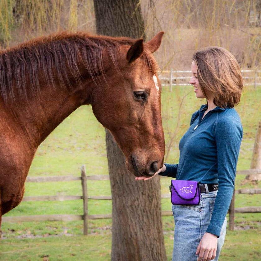 Woofhoof - HORSE TREAT POUCH shows model person wearing pouch and feeding a horse a treat.