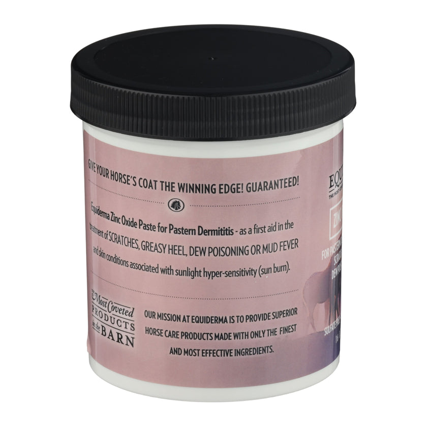 Zinc Oxide Paste for pastern dermatitis and sunburn, scratches or dew poisoning back label
