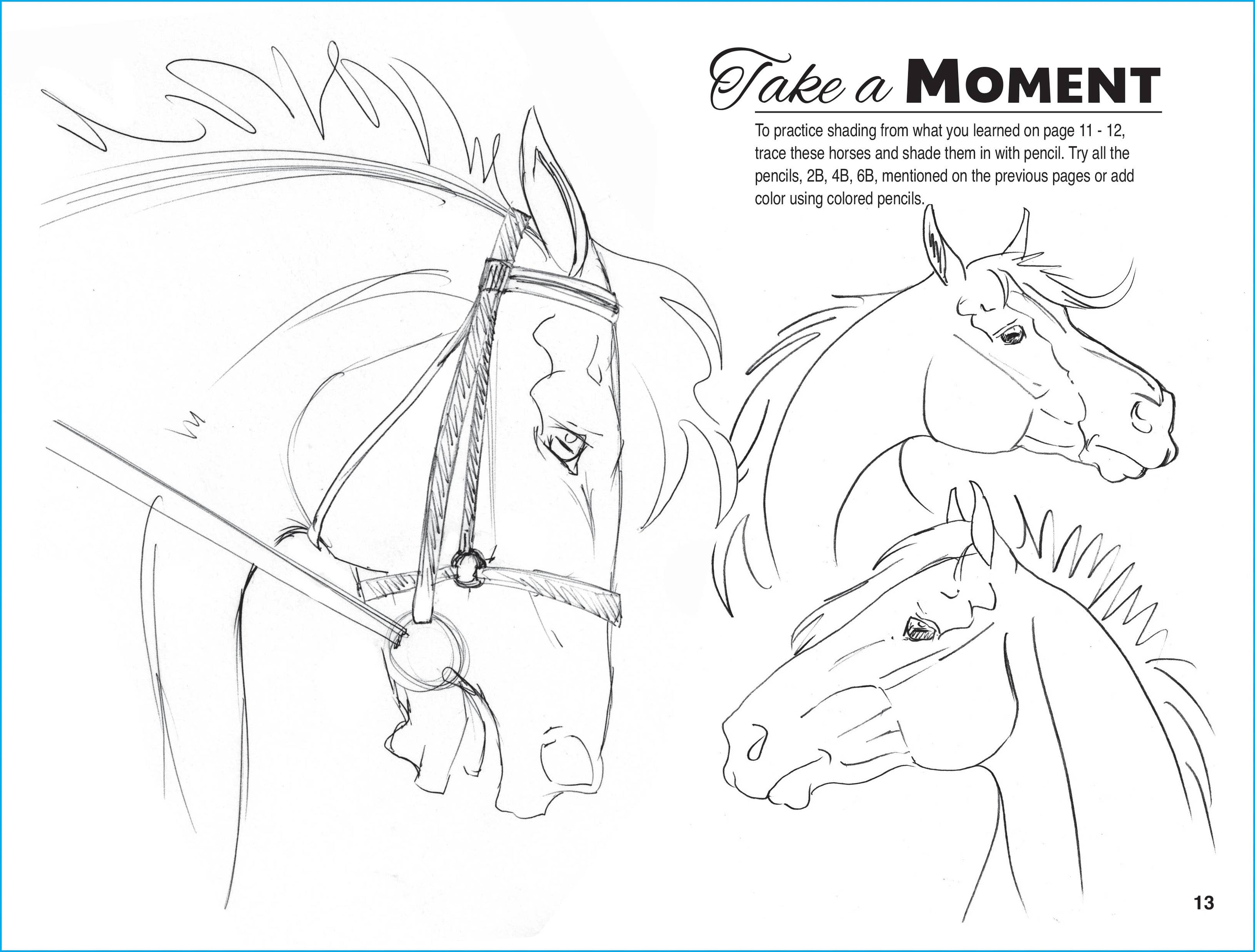 Equestrian Art Book Anyone Can Draw Horses