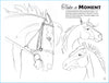 Equestrian Art Book Anyone Can Draw Horses