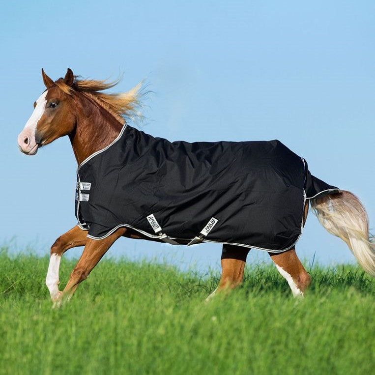 Horseware® Amigo® Stock Horse Turnout (200g Medium) view on model horse at pasture