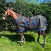 Horseware® Amigo Ripstop 900D Foal Turnout 200g in Black Classic Blue accents on model foal.