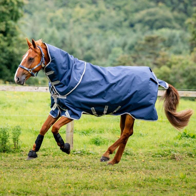 Horseware® Amigo® Bravo 12 Plus Turnout (400g Heavy) Full view on horse