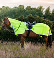 horse fly rider sheet