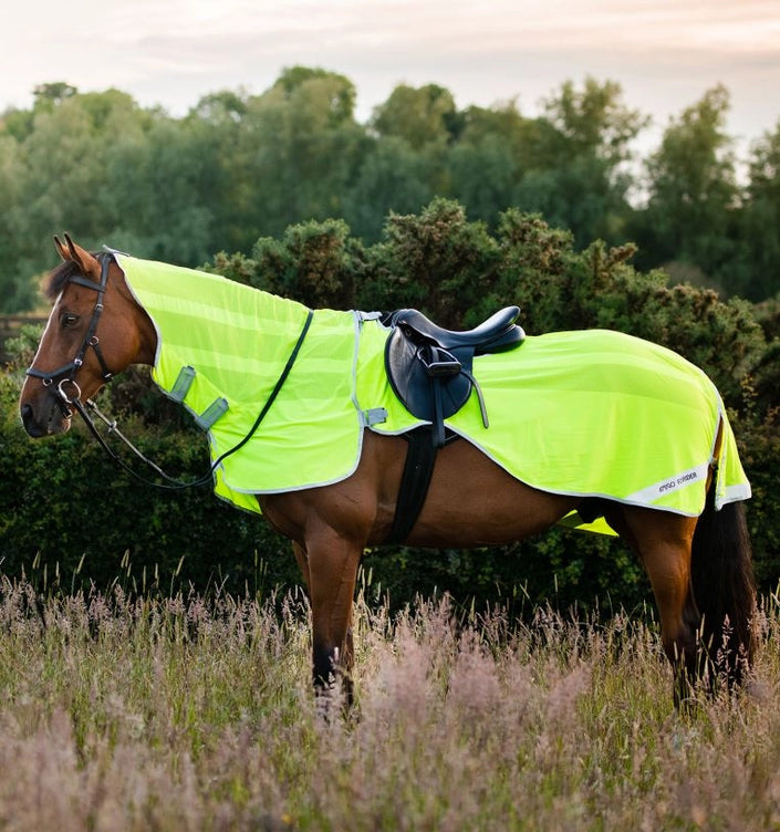 horse fly rider sheet