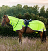 horse fly rider sheet