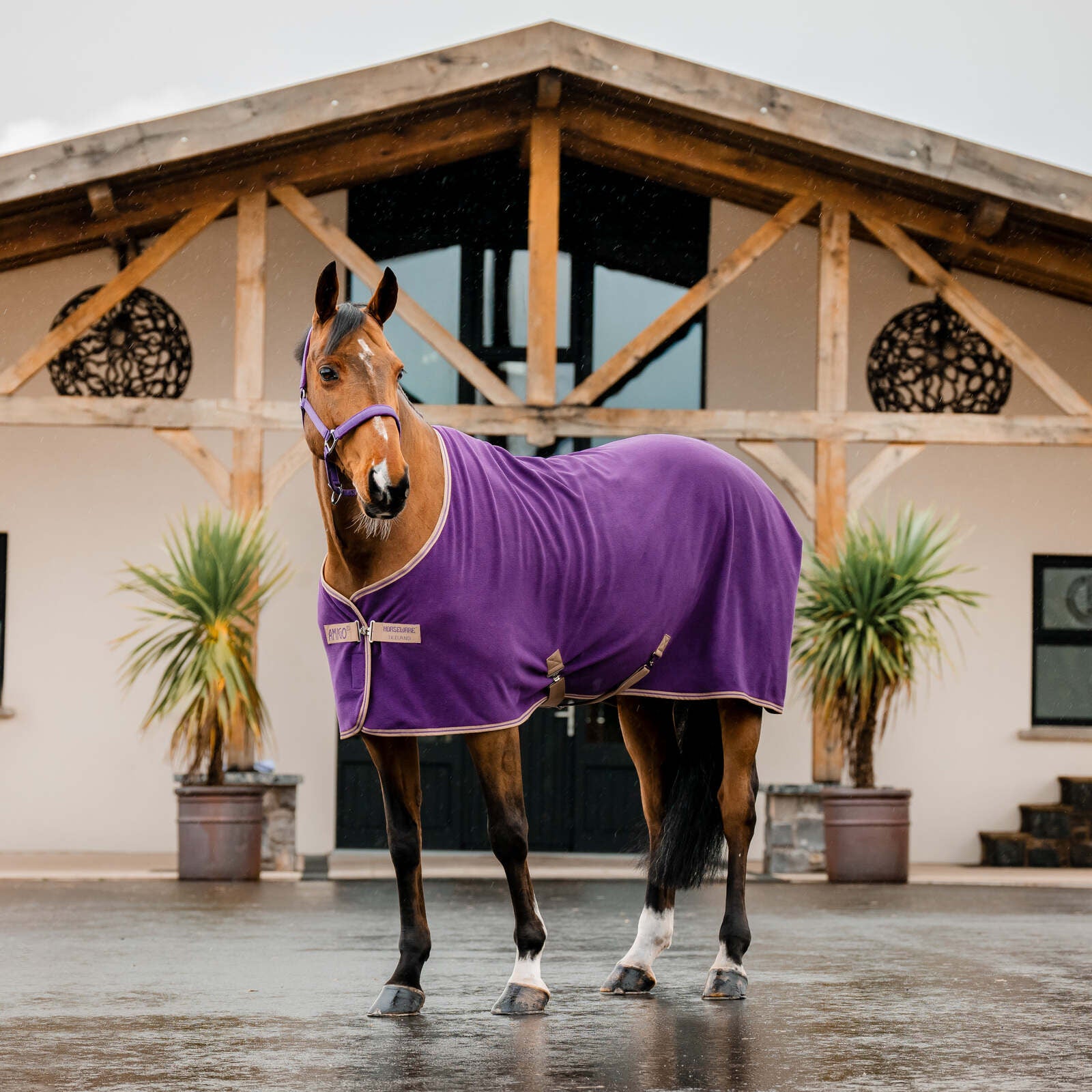 Horseware® Amigo® Fleece Cooler Winterberry on horse