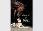 Thinking of You Card - Horse & Dog