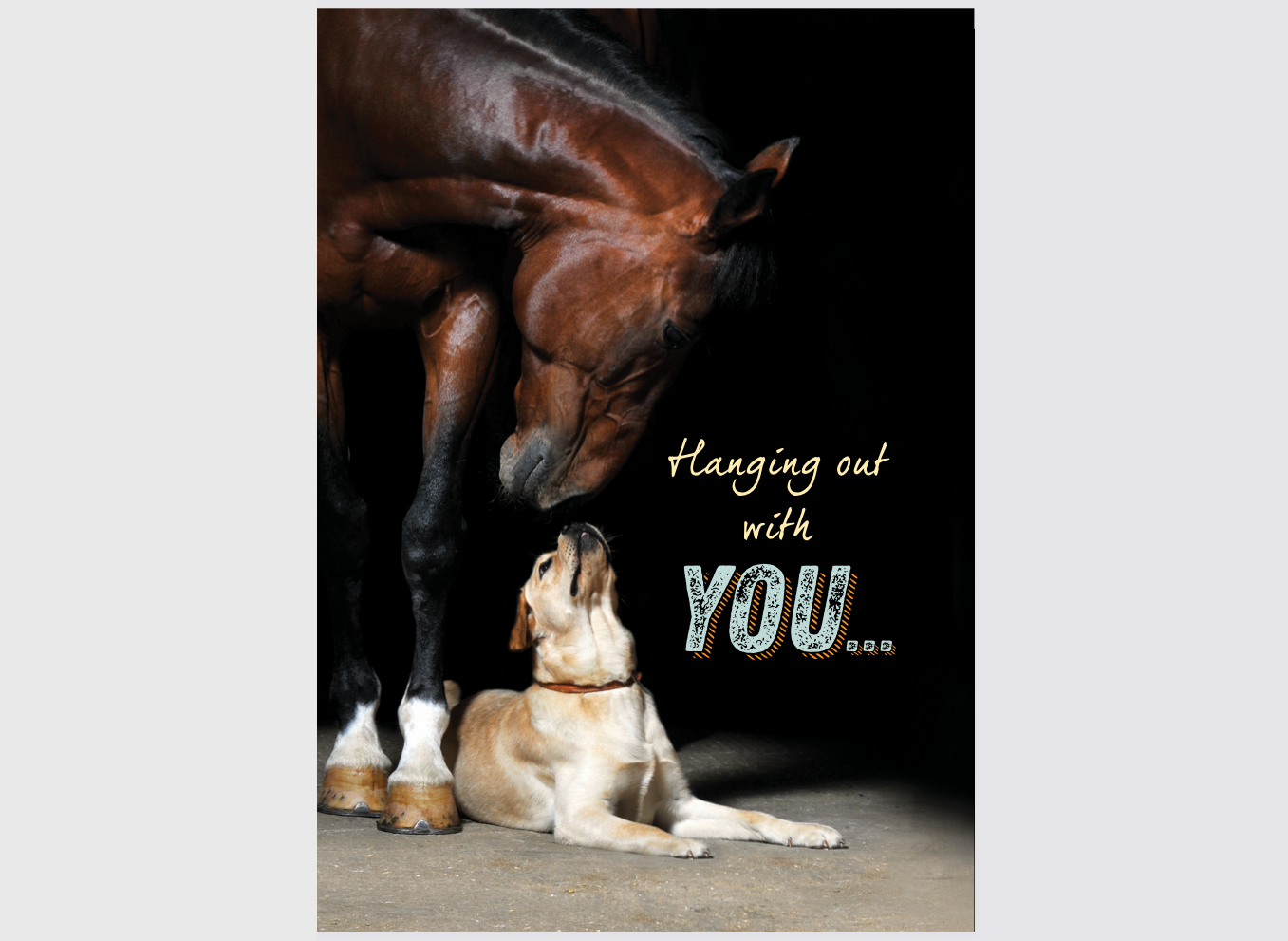 Thinking of You Card - Horse & Dog