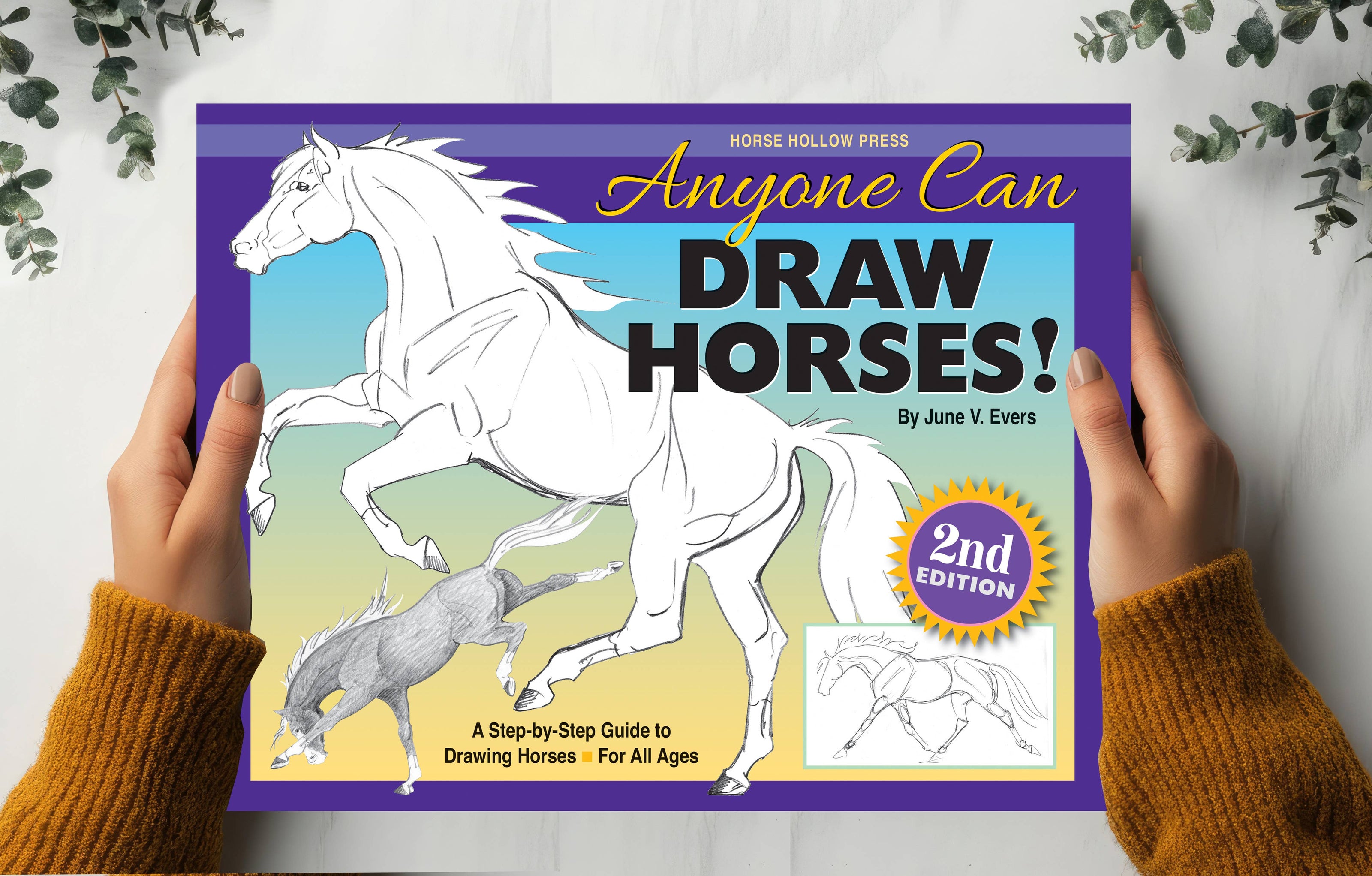 Equestrian Art Book Anyone Can Draw Horses