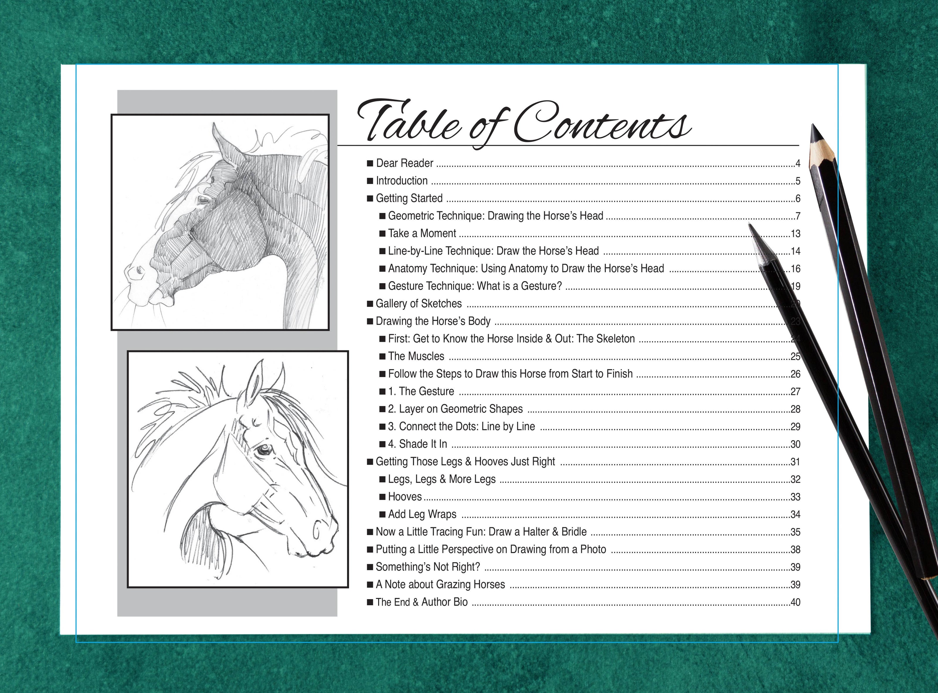 Equestrian Art Book Anyone Can Draw Horses