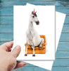 Horse Birthday Card: Horse Sitting