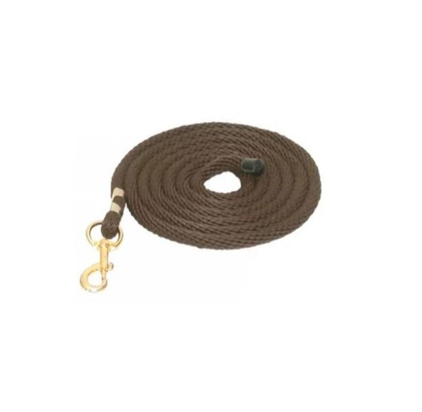 Brown 10' Poly Lead with Snap