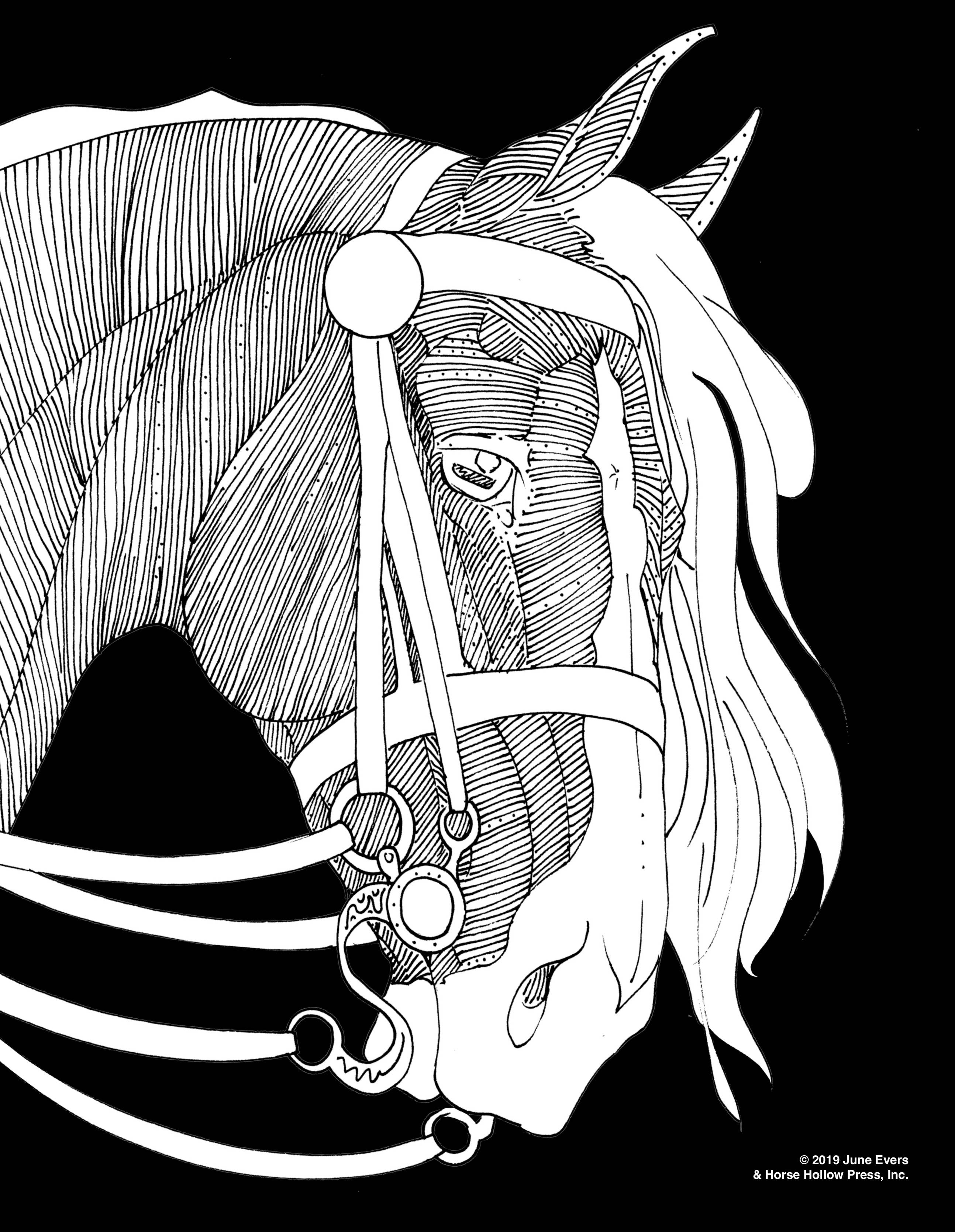 Art Coloring Kit Horse Drawings w/ Pencils