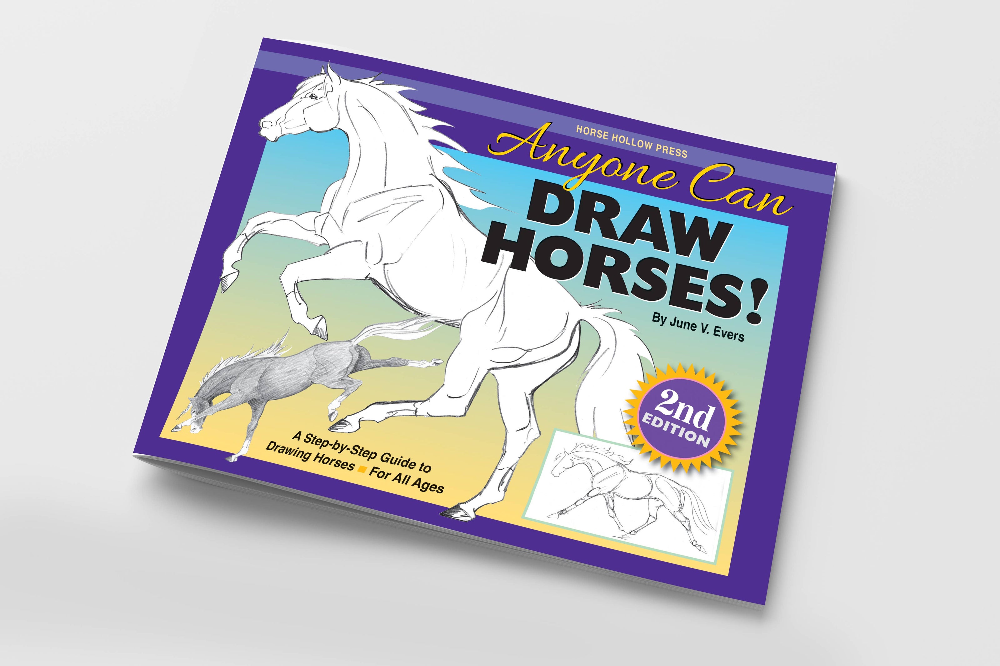 Equestrian Art Book Anyone Can Draw Horses