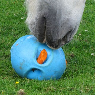 Carrot Ball on grass and horse playing.