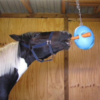 Carrot Ball horse playing with it.