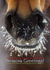 Horse Christmas Card - Frosty Nose