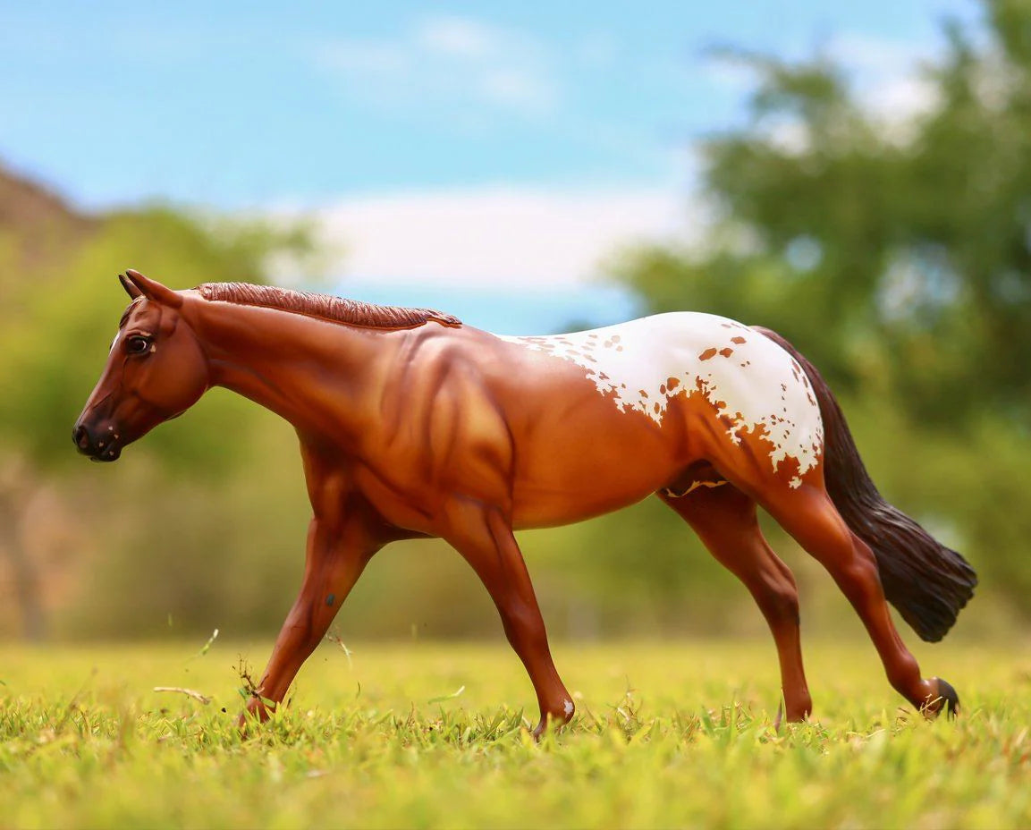 BREYER Chocolatey