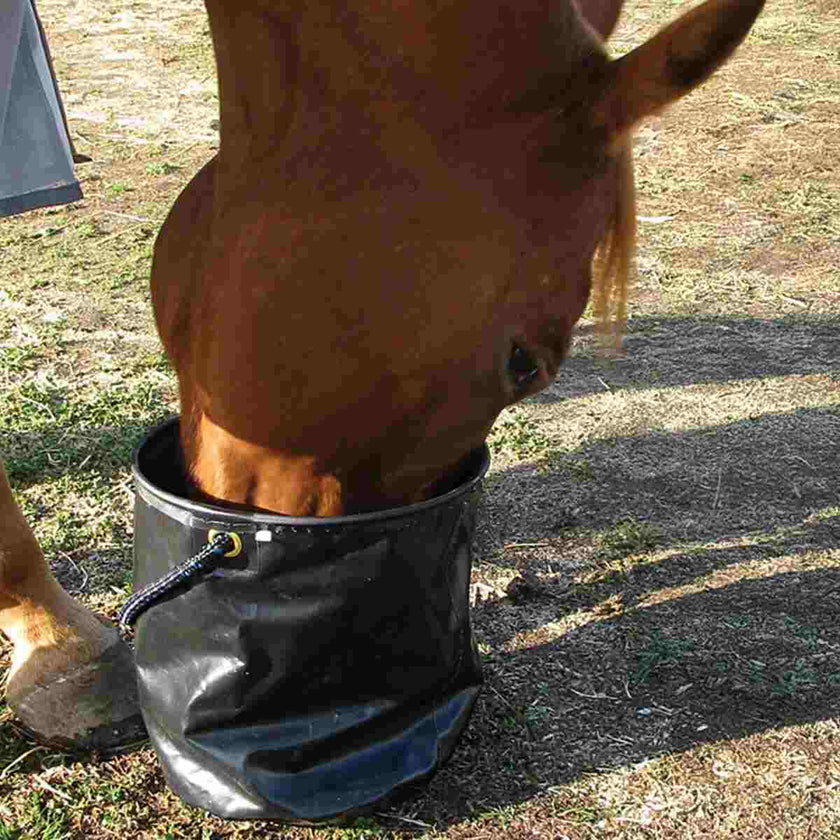 Horse drinking from a black Cashel Collapsible Water Pail / Bucket on a grassy field