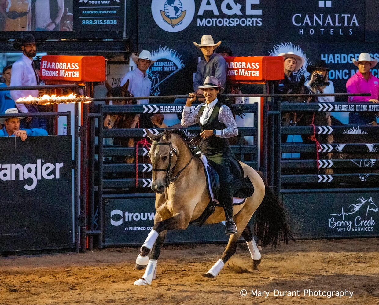 BREYER Cossaco - Lusitano Working Equitation Champion