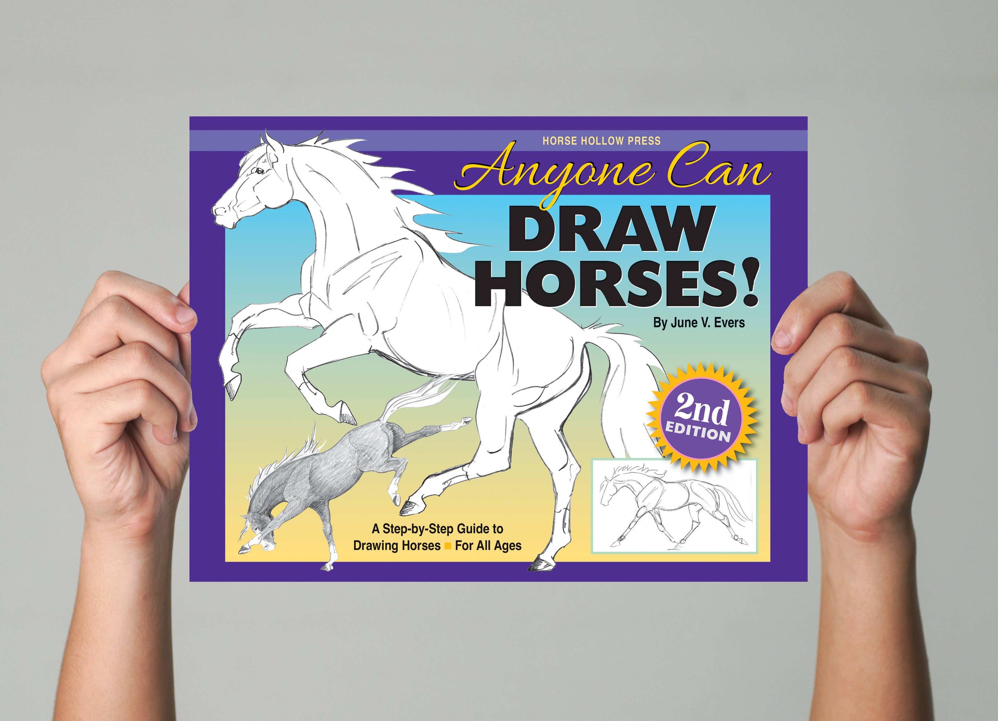 Equestrian Art Book Anyone Can Draw Horses