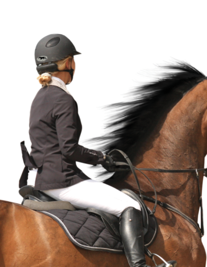 Horse Sticker: Bad Ass Eventer