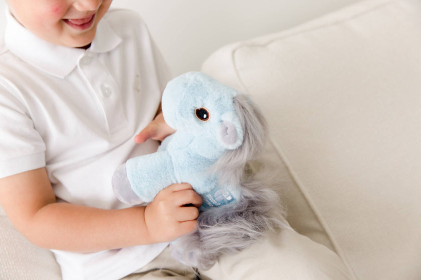 Piccoli Horses - Mini Horses & Mini Unicorns