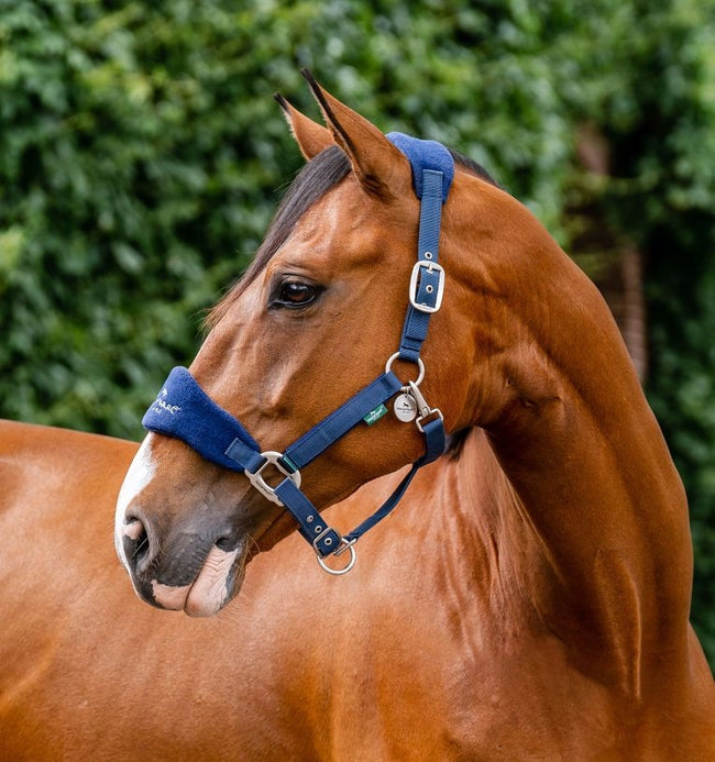 Horseware® Signature Grooming Halter