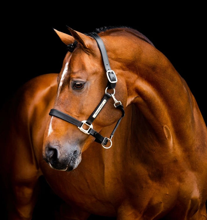 Horseware® Signature Leather Halter