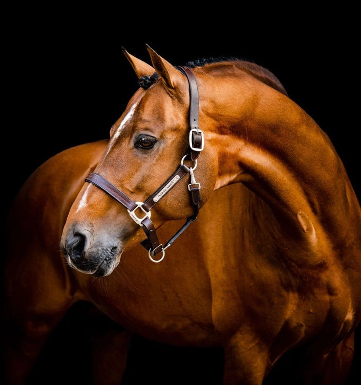 Horseware® Signature Leather Halter