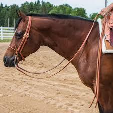 KHS-E Assorted Western Reins