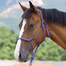 KHS-E Assorted Rope Halters