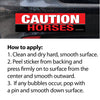 Horse Hollow Press - Horse Bumper Sticker: Caution Horses!