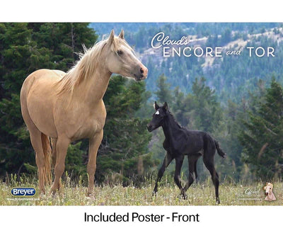 BREYER Cloud's Encore and Tor Gift Set