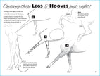 Equestrian Art Book Anyone Can Draw Horses