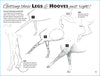 Equestrian Art Book Anyone Can Draw Horses