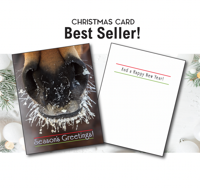 Horse Christmas Card - Frosty Nose