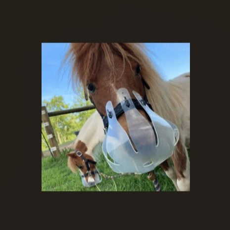Thinline muzzle on a mini horse