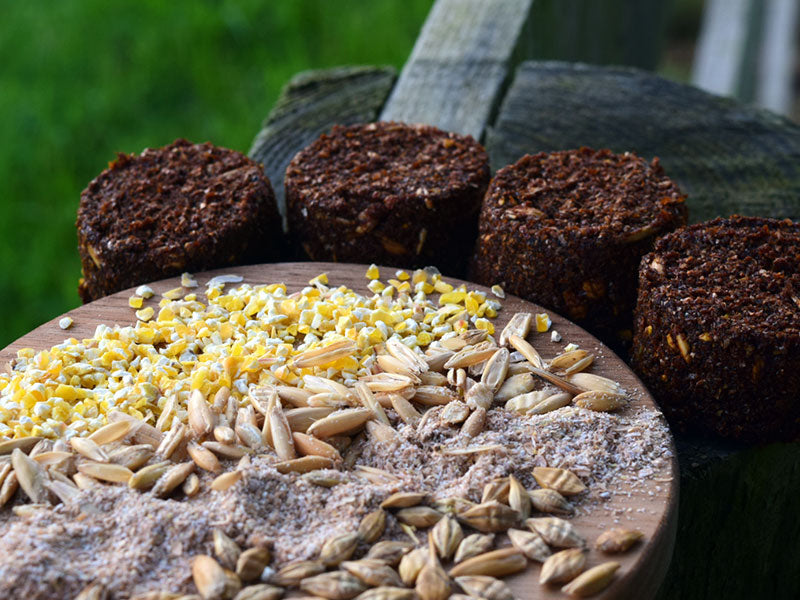 NickerDoodles Natural Horse Treats