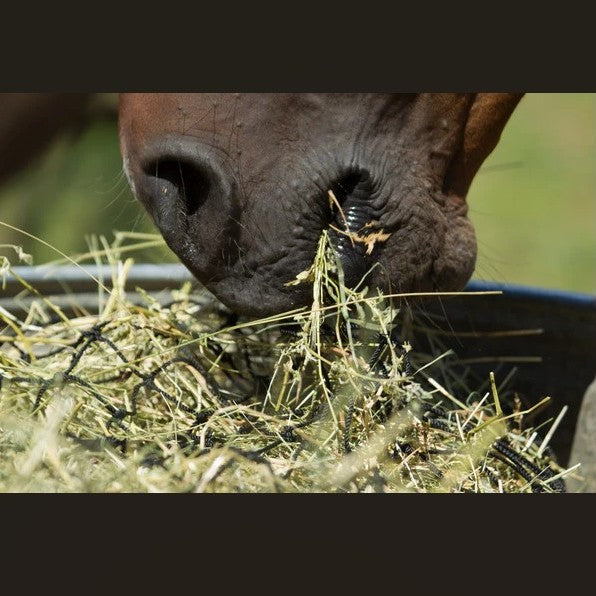 Hay Chix® 2-Strand Bale Net