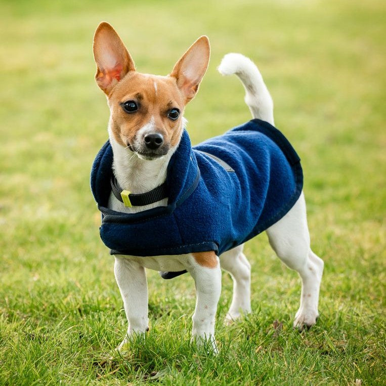 Horseware® Signature Dog Fleece (No Fill) side angle on dog