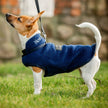 Horseware® Signature Dog Fleece (No Fill) side view on dog