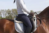 KHS-E Assorted crops/whips