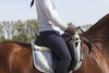 KHS-E Assorted crops/whips