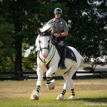 BREYER Hytyme Legend - KHP Mounted Police Horse image of model horse that inspired the Breyer toy.