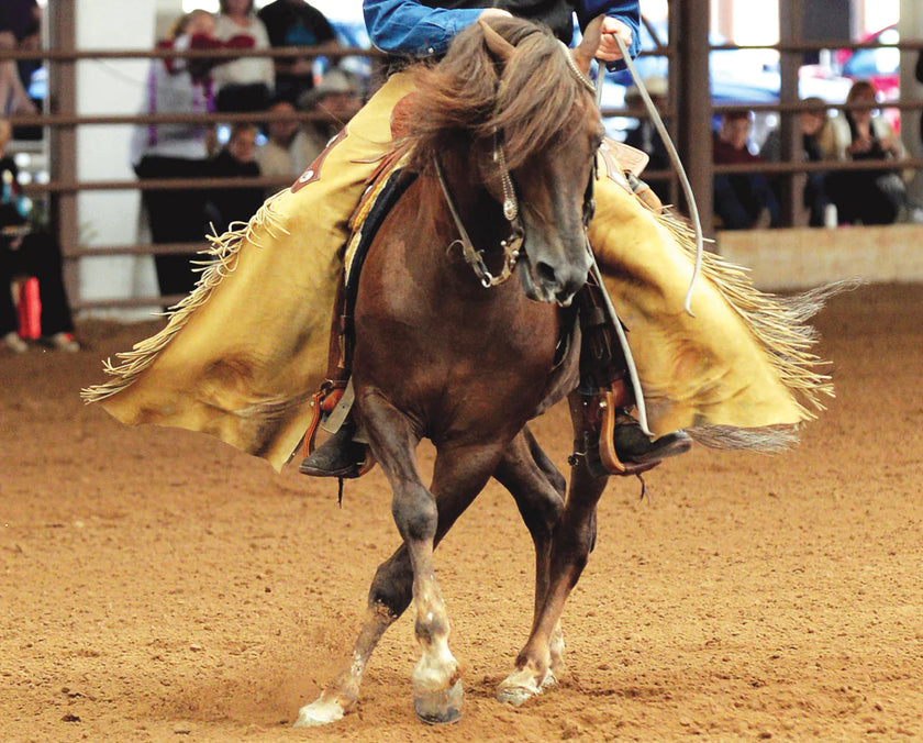 BREYER MorganQuest Native Sun