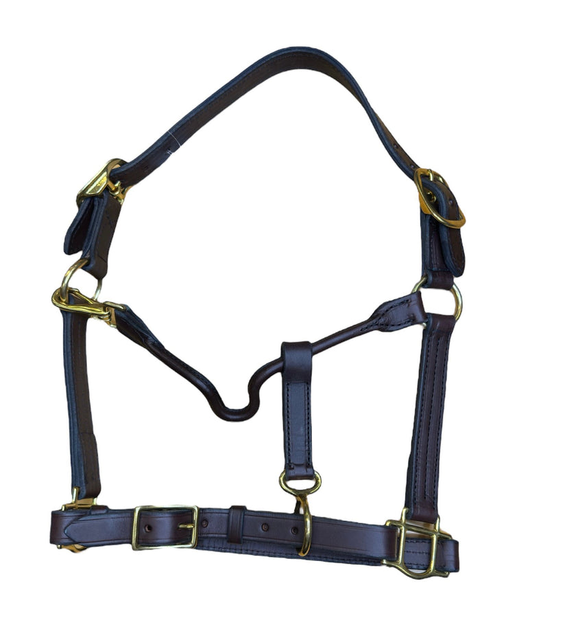 Perri’s® Havana Show Halter - Cob